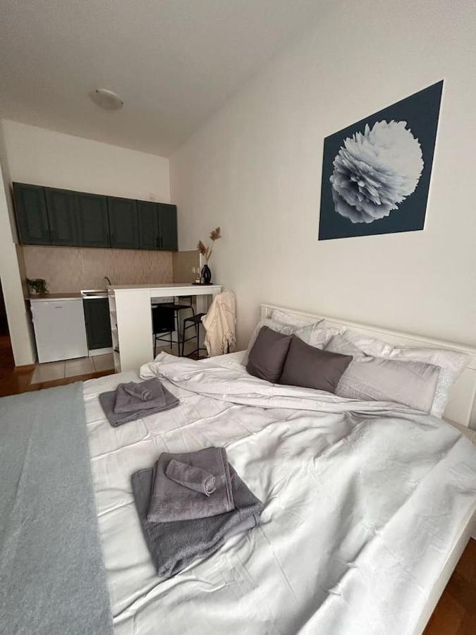 S11 Apartamento Novi Sad Exterior foto